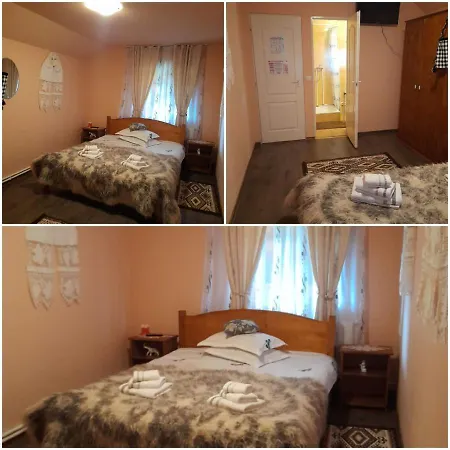Guest house Casa Berci
