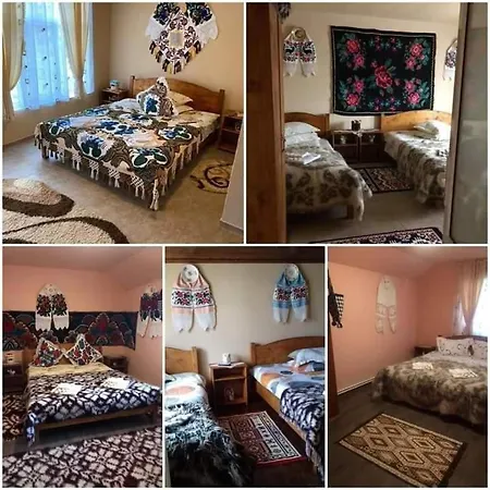Casa Berci Guest house Calinesti (Maramures)