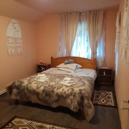 Casa Berci Calinesti (Maramures)