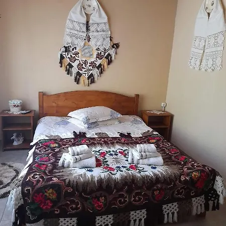 Guest house Casa Berci