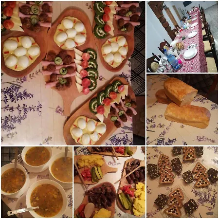 Guest house Casa Berci *